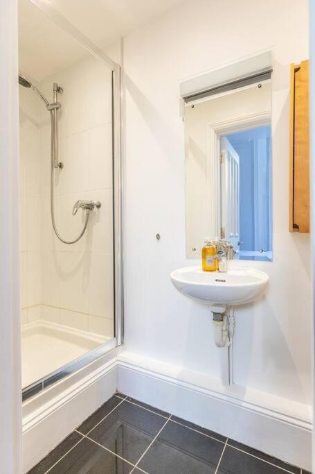 Victorian Flat Close To Station With Large Garden Apartman Brighton Kültér fotó